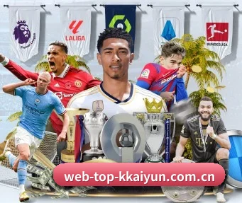 web-top-kkaiyun.com.cn APP 界面
